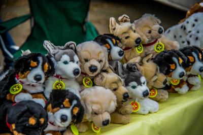 Esslingen-Sulzgries: Hilfsorganisationen praesentierten sich am Blaulichttag